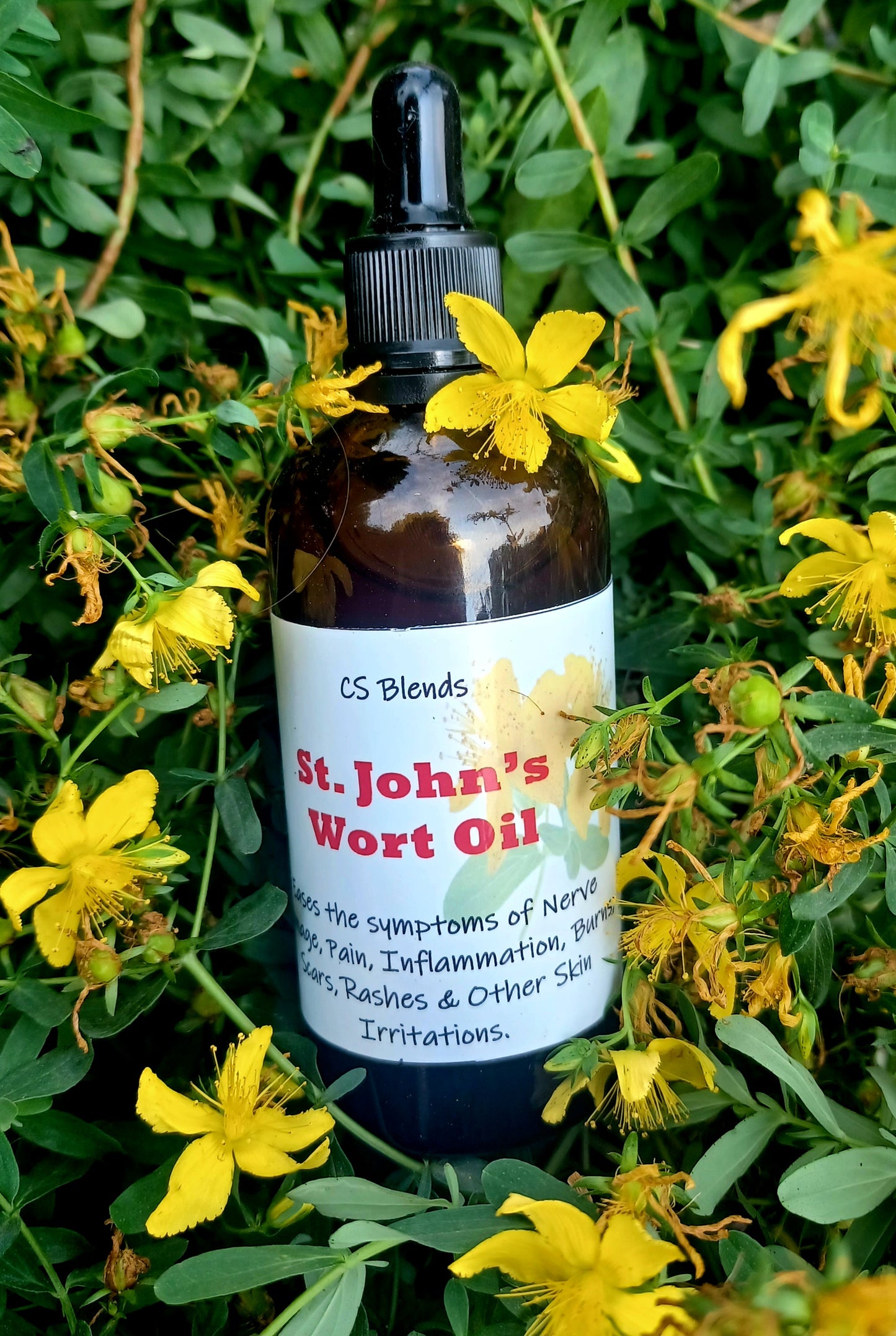 Saint John's Wort Oil
