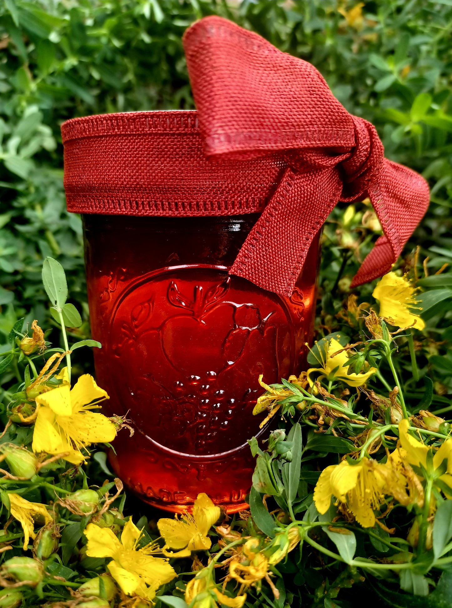 Saint John's Wort Oil