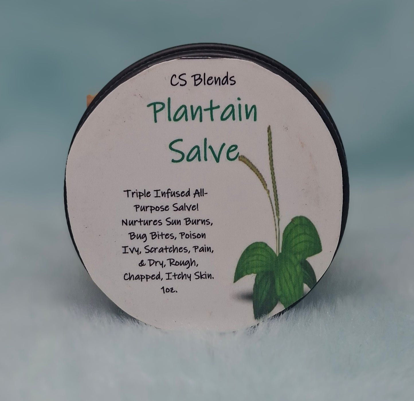 All Purpose Healing Plantain Salve, Outdoor Adventure Ointment